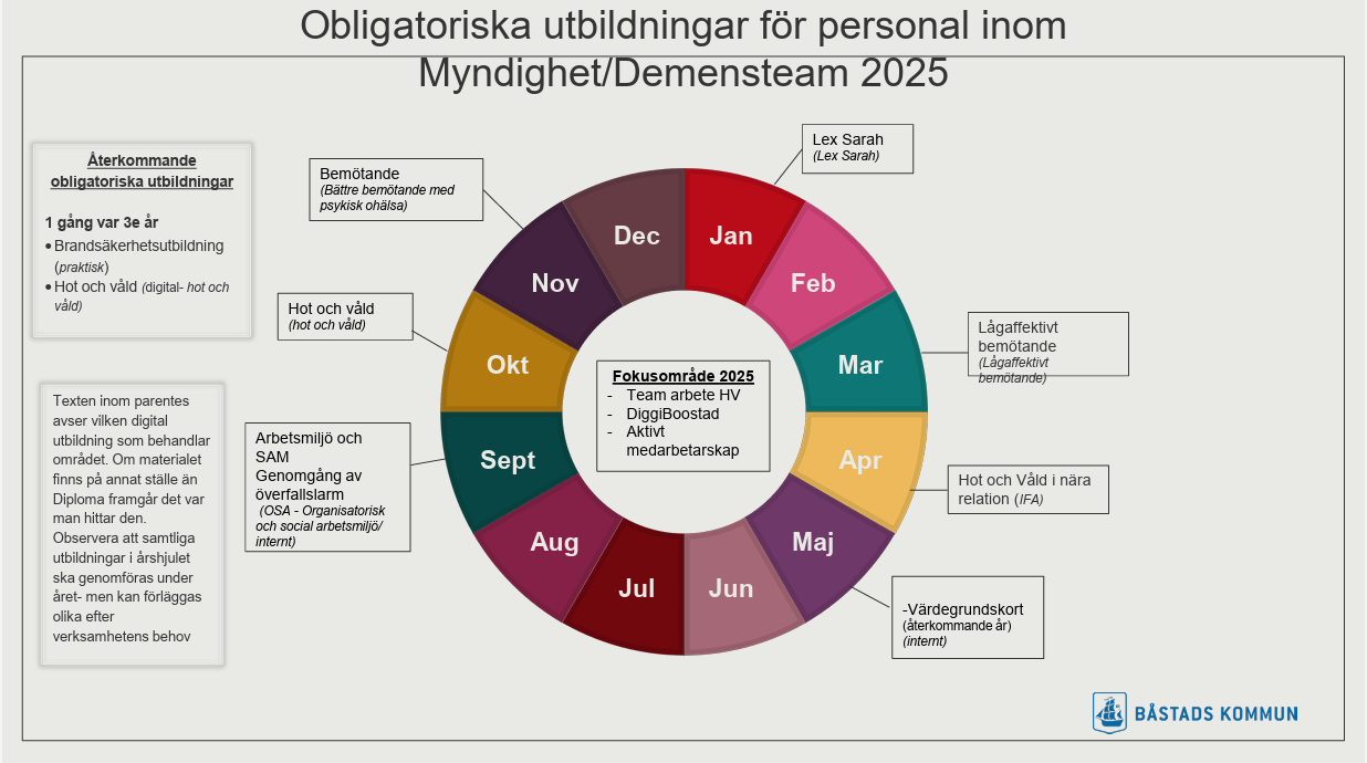 Årshjul demensteamet
