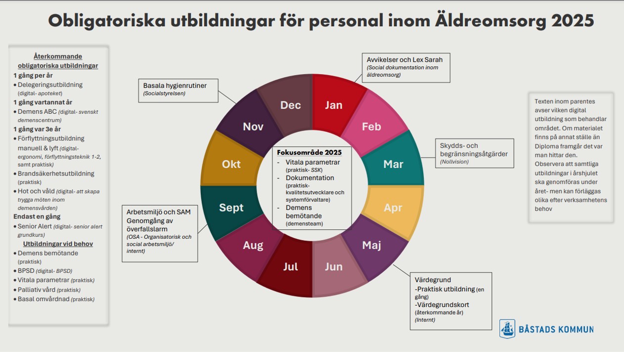 Personlig assistent och rullstolsbunden tittar på något